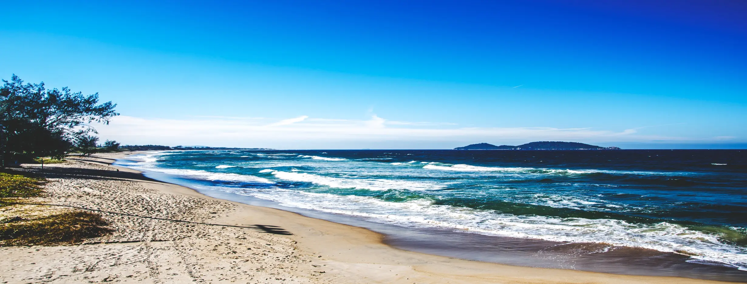 Image for Coastal Excursion
